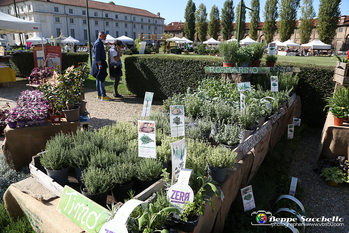 VBS_2334 - FloReal 2021 alla Palazzina di Caccia di Stupinigi.jpg